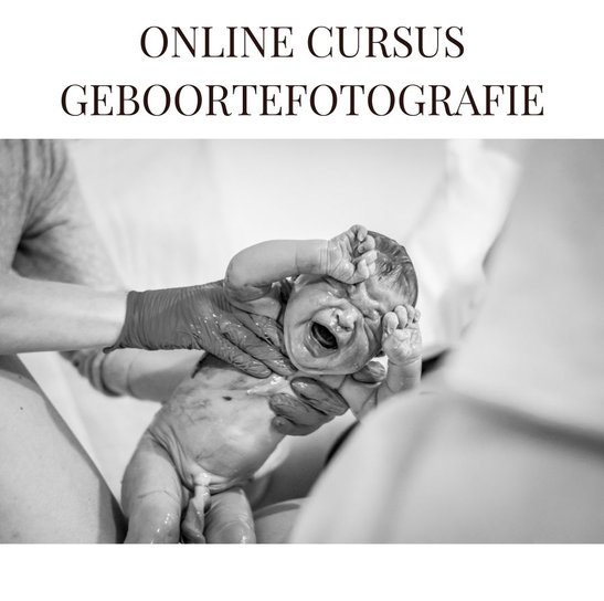 onlinecursus geboortefotografie